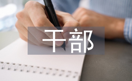 少數民族異地掛職干部內部管理制度