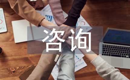 全過(guò)程咨詢(xún)風(fēng)險(xiǎn)管理