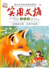 實用文摘雜志